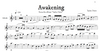 Awakening – Violin Sheet Music with Play-Along Backtrack
